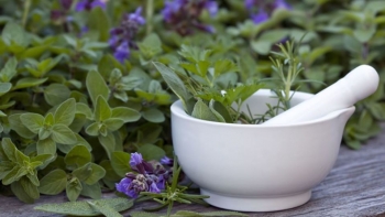 Salvia- Actúa a niveles emocionales, justamente el área que promueve el estrés, restableciendo el ba...