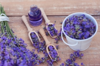 Lavanda - Alivia y relaja los nervios. Indicado en casos de tensión, insomnio, estrés o ansiedad. - ...