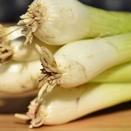 Frescos de Excelencia Venta de Frutas y Verduras - Puebla