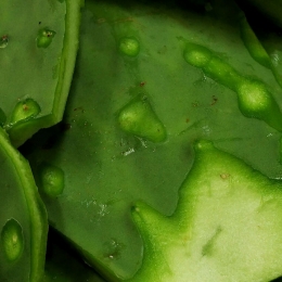 Frescos de Excelencia Venta de Frutas y Verduras - Puebla