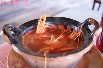 El Tejado de Ocotlán - Puebla