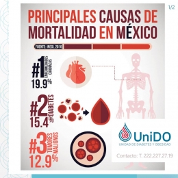 UniDo Unidad de Diabetes y Obesidad - Puebla