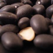 Frijol Negro - Frescos de Excelencia Venta de Frutas y Verduras - Puebla