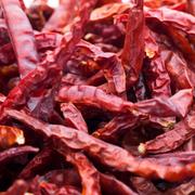 Chile Seco Árbol - Frescos de Excelencia Venta de Frutas y Verduras - Puebla