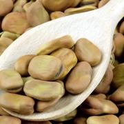 Haba Seca - Frescos de Excelencia Venta de Frutas y Verduras - Puebla