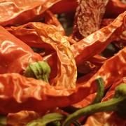 Chile Costeño - Frescos de Excelencia Venta de Frutas y Verduras - Puebla