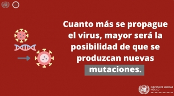 Neurólogo Pediatra - Dr. Raymundo Cuevas Escalante - Puebla