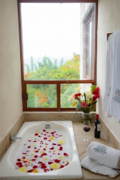 Hotel Boutique & Spa La Casona de Don Porfirio - Puebla
