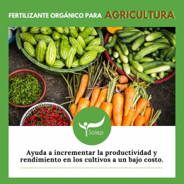 Ecorgánico - Soluciones Ecológicas Puebla - Puebla