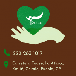 Ecorgánico - Soluciones Ecológicas Puebla - Puebla