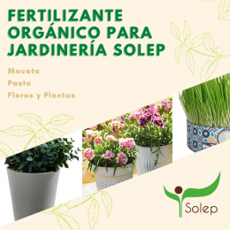 Ecorgánico - Soluciones Ecológicas Puebla - Puebla