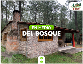 Cabañas Entre Pinos - Puebla