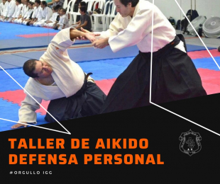 Taller de Aikido defensa personal  - Instituto Gonzalo García A.C - Puebla