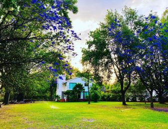 Cabañas Atlixco - Puebla