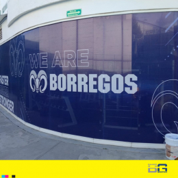 Banner Graphic - Publicidad Impresa - Puebla