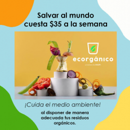 Ecorgánico - Soluciones Ecológicas Puebla - Puebla
