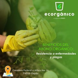 Ecorgánico - Soluciones Ecológicas Puebla - Puebla