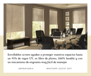 Enrollables screen - BORA cortinas, persianas y decoración - Puebla