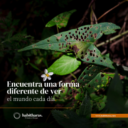 Habitharas - Viviendo en el Bosque - Puebla