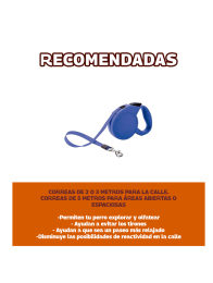 Distribuidora de Huevo San Juan - Puebla