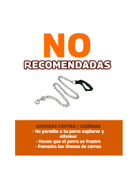 Distribuidora de Huevo San Juan - Puebla