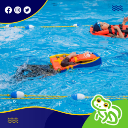Aquara Escuela de Natación - Puebla