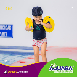 Aquara Escuela de Natación - Puebla
