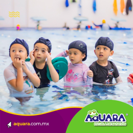 Aquara Escuela de Natación - Puebla