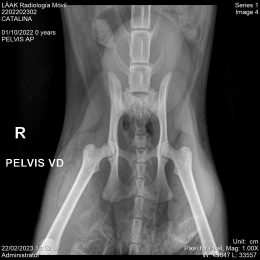 LÁAK Radiología Móvil - Puebla