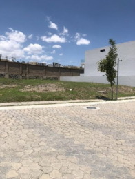 Lubeca Bienes Raíces - Puebla