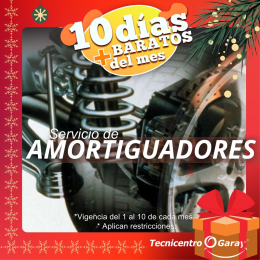 Llantera Garay - Llantas Michelin - Puebla