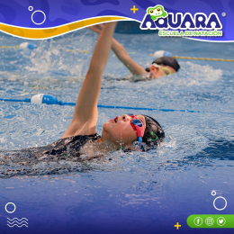 Aquara Escuela de Natación - Puebla