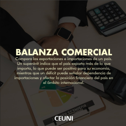 CEUNI - Centro Universitario Interamericano Puebla - Puebla