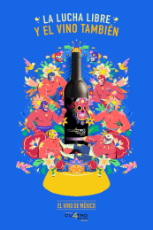 Birth Group - Agencia de Publicidad Insideout Branding - Puebla