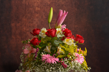 ¡Descubre la belleza de nuestro exclusivo diseño floral con rosas rojas! Cada flor, con su vibrante ...
