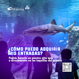 Acuario Michin Puebla - Puebla