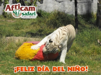Africam Safari - Puebla