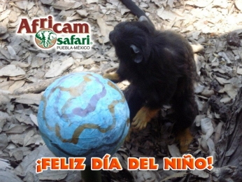 Africam Safari - Puebla