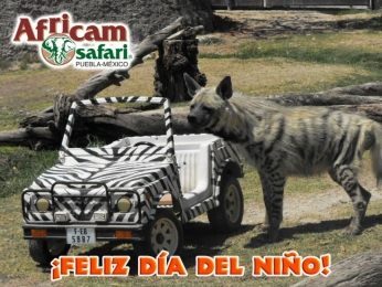 Africam Safari - Puebla