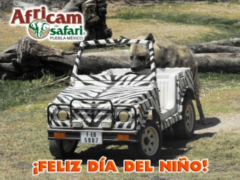 Africam Safari - Puebla
