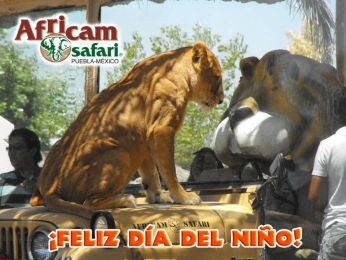 Africam Safari - Puebla