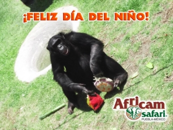 Africam Safari - Puebla