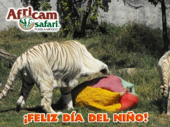 Africam Safari - Puebla