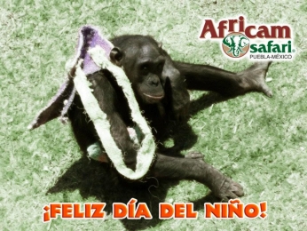 Africam Safari - Puebla