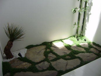 Fresco jardín interior - Nivel Uno Constructora - Puebla