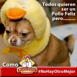 Todos quieren ser como nosotros - Pollo Feliz Puebla - Puebla