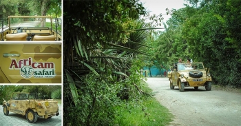 Para llegar a ese momento especial: jeep de Africam Safari - Africam Safari - Puebla