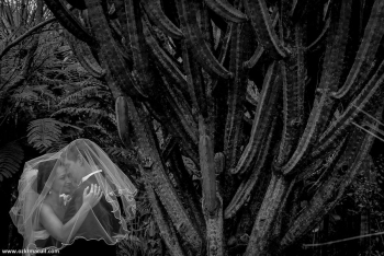 Una foto única, con esa persona especial en nuestro jardín botánico - Africam Safari - Puebla