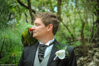 Una boda original en nuestro Jardín Botanico acompañado de una Guacamaya - Africam Safari - Puebla