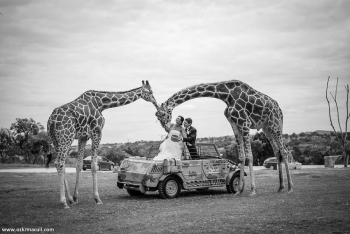 Un momento único, inolvidable y original con tu pareja - Africam Safari - Puebla